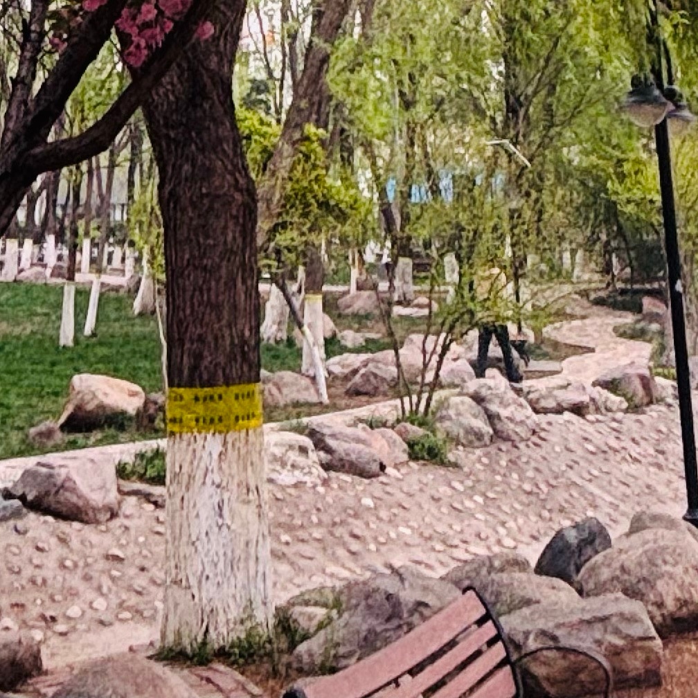最好的生活就是：不嫉妒别人，不看轻自己，岁月静好，别来无恙 