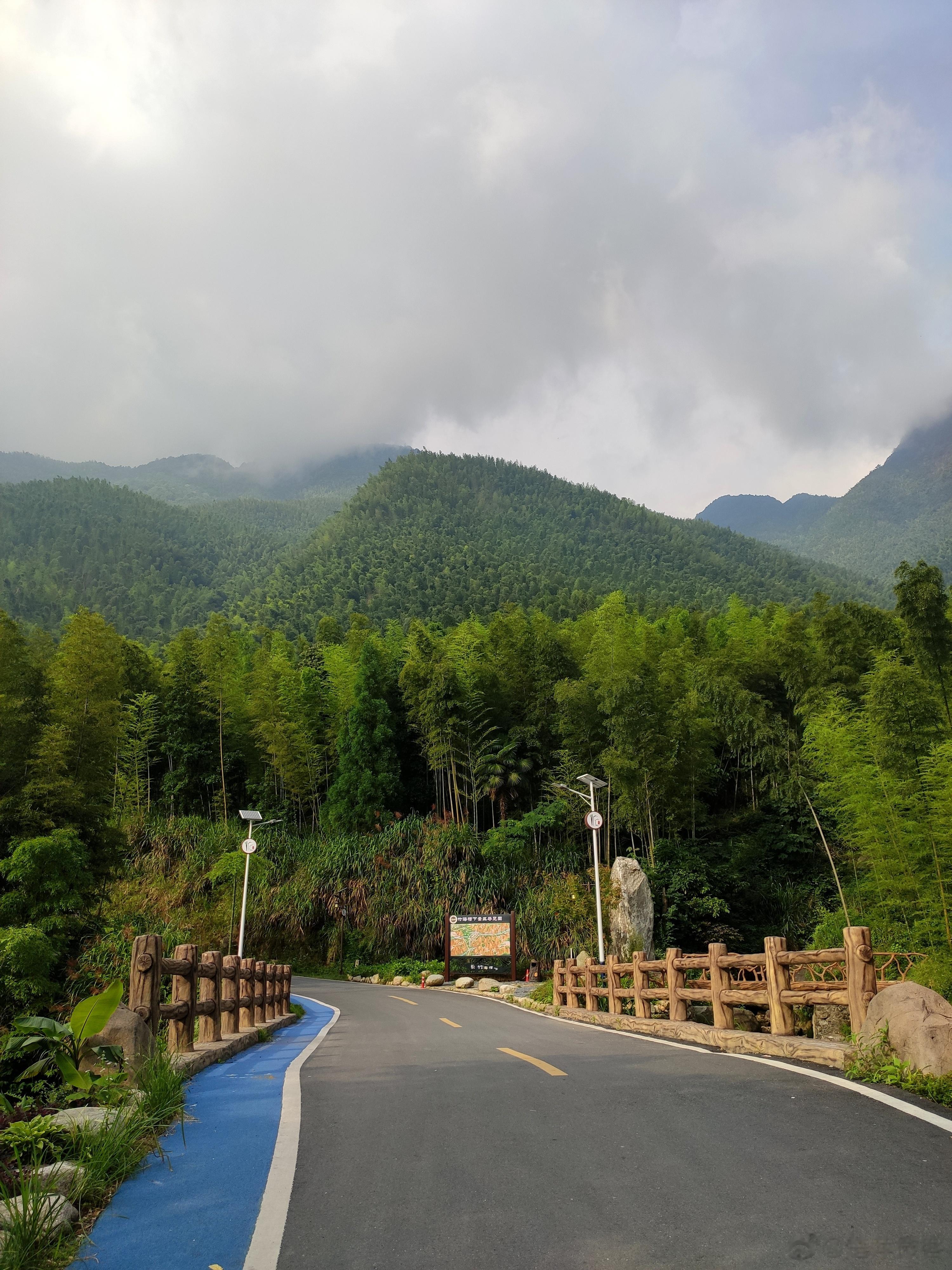 #驴友眼中的武功山#【武功山新八景之——竹海槽下[打call]】武功山竹海槽下景