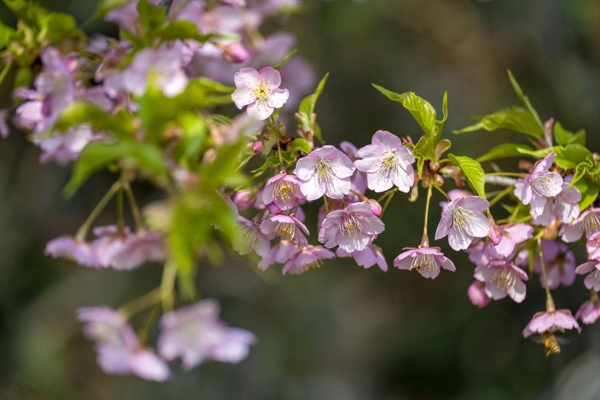 成年人只能筛选，不能教育，人教人，事教人一次就够了。吃亏和吃饭一样吃不会，多了自