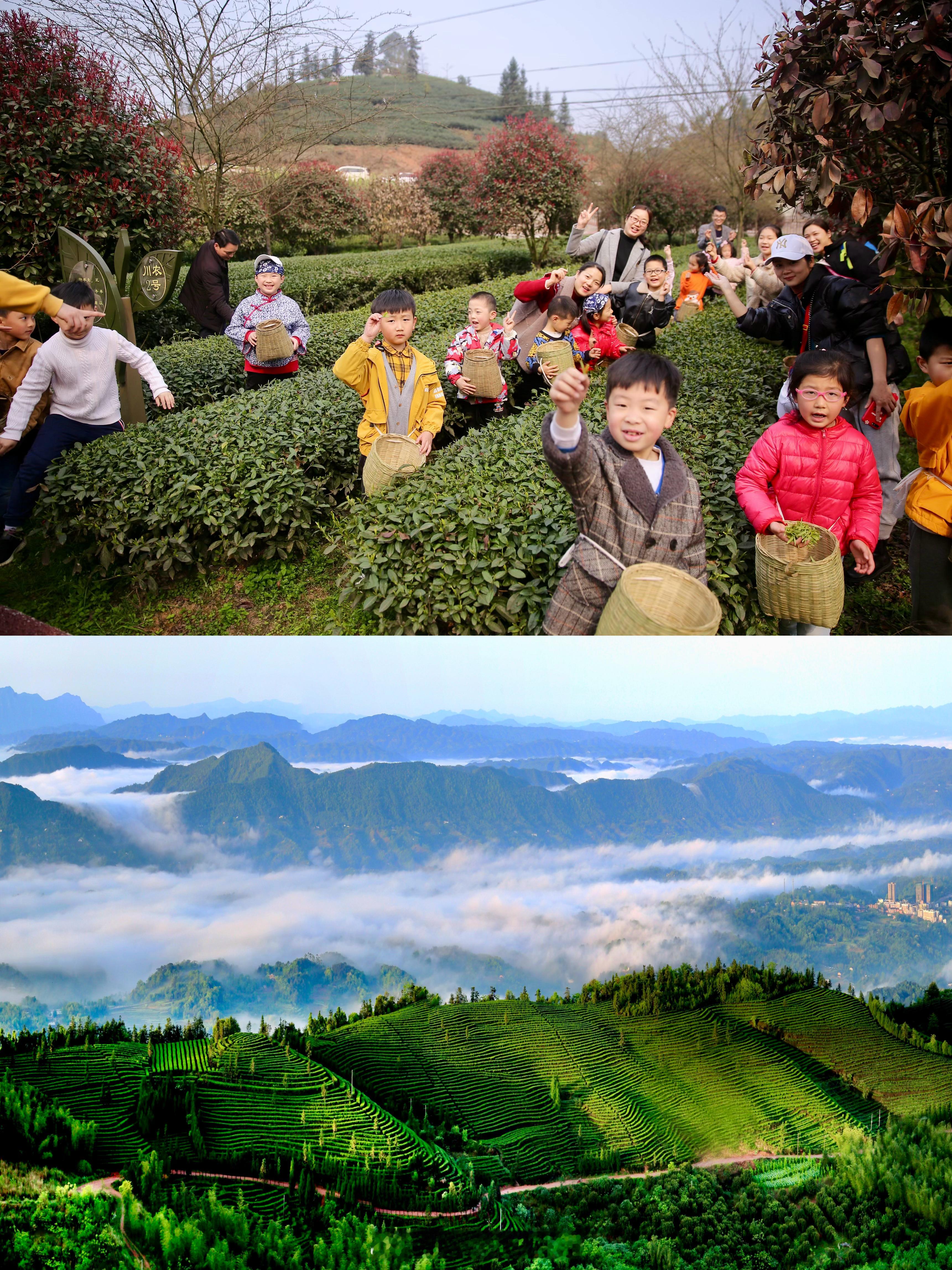 你可能知道四川成都，但不一定知道在四川的南部有一座山水相依的宝藏小城-纳溪。纳溪