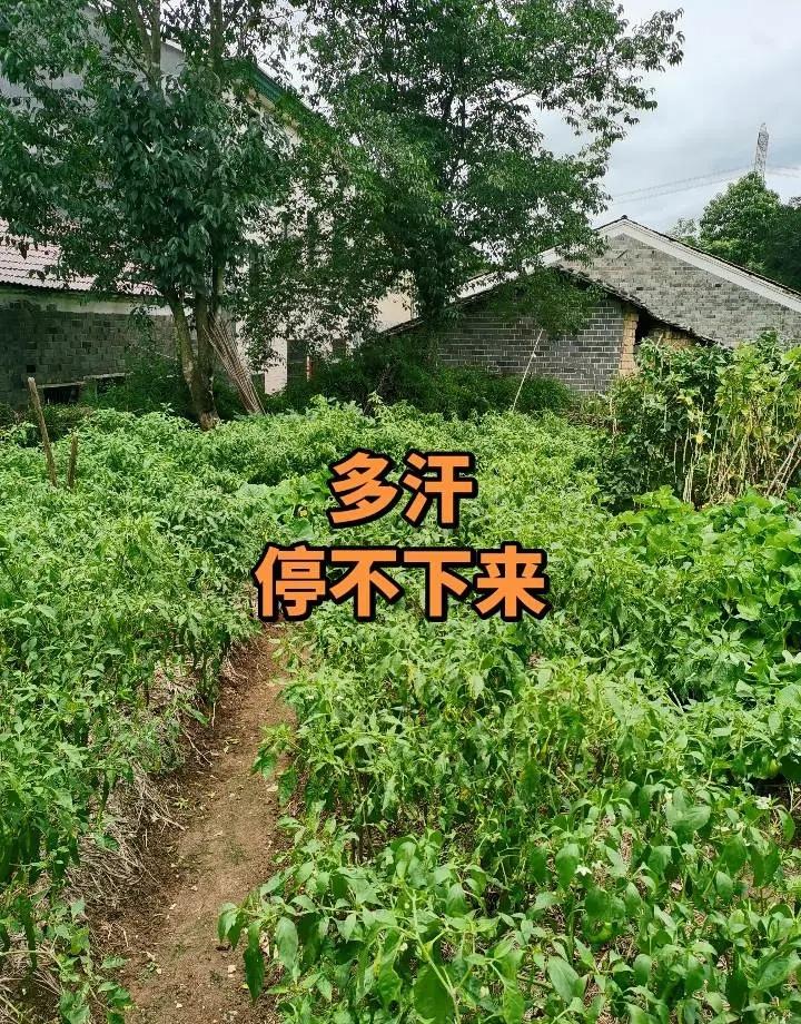 好消息！丁俊晖以10比5战胜吉尔伯特闯过世锦赛首轮，即将与赵心童上演德比之战。在