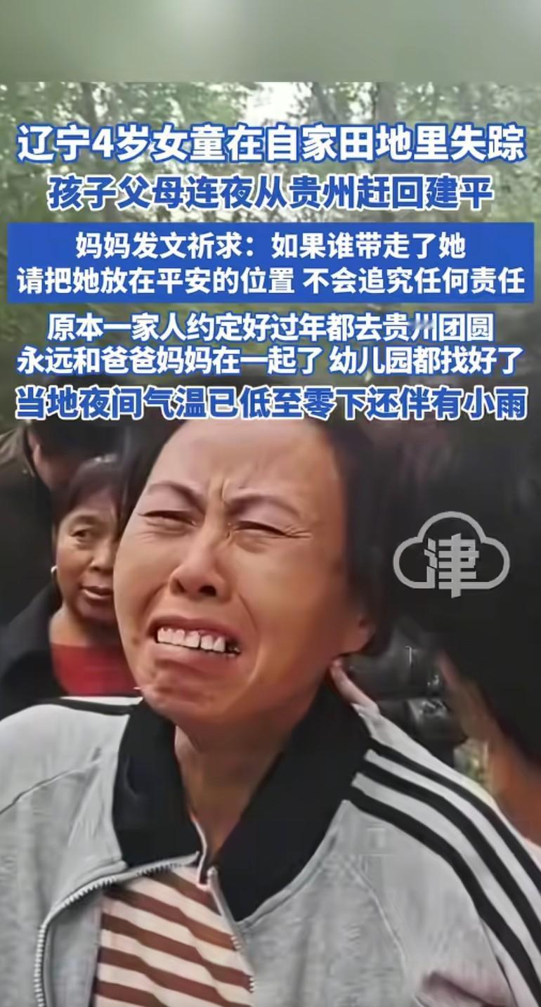 辽宁4岁女童田地失踪：零下寒夜与未锁的车窗，一场破碎的团圆约定
 
当贵州打工的