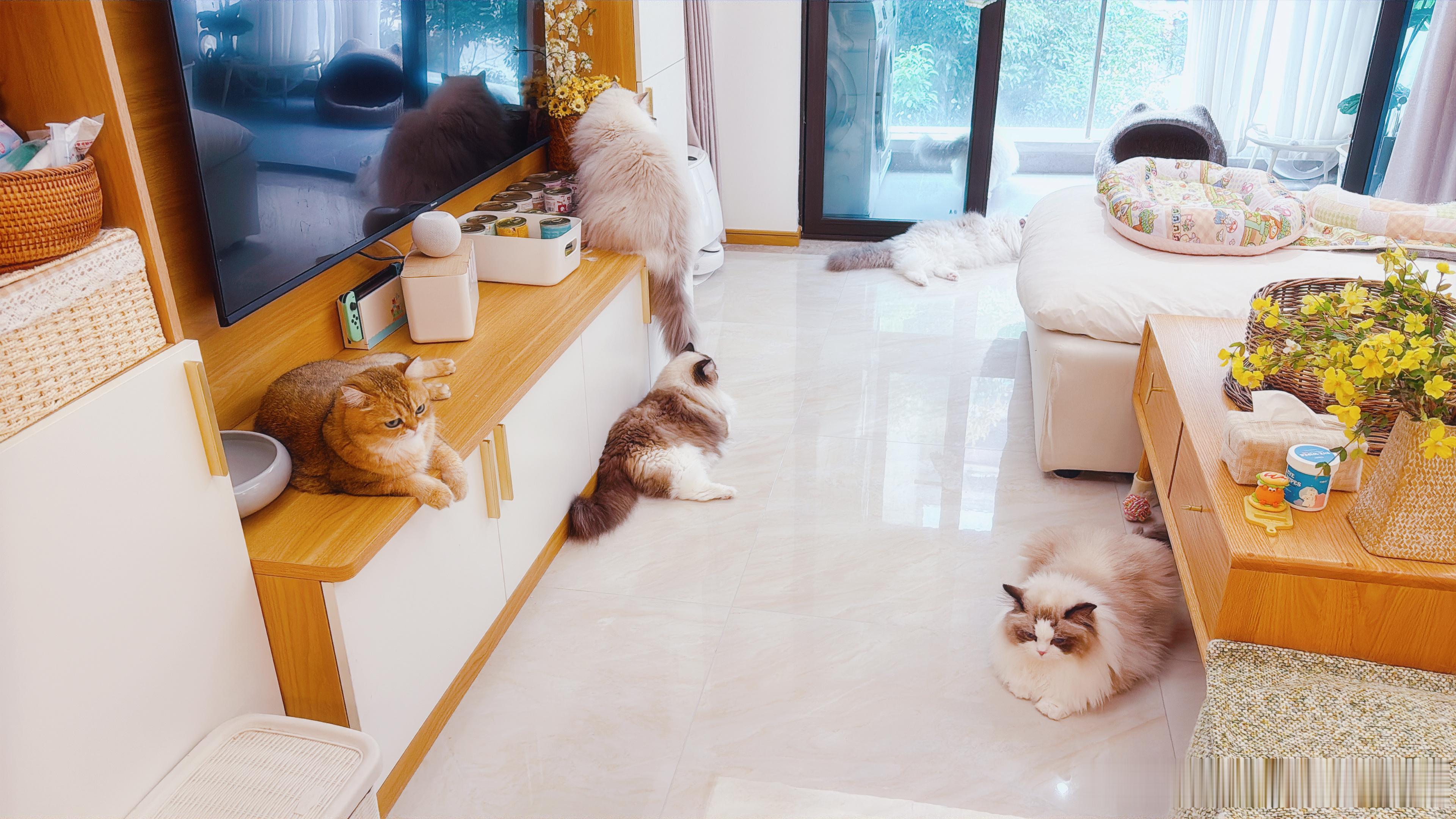 谁有起床气一目了然 ​​​
