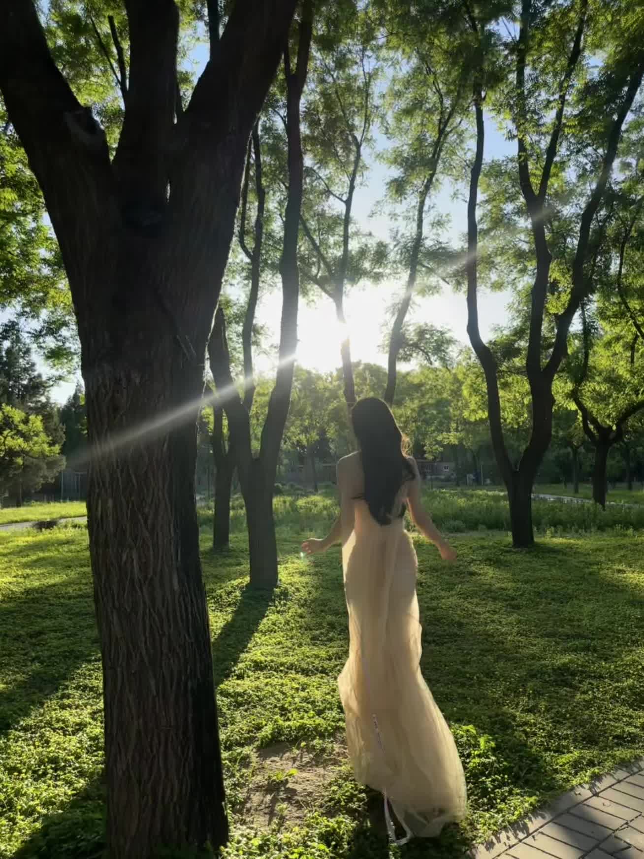 镜头邂逅阳光折射幸福