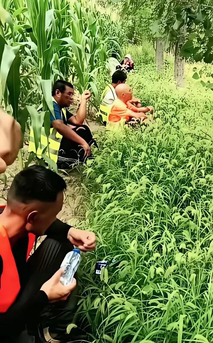 西平钢哥一定非常后悔吧，儿子一声一声“爸”，喊的那是一个心酸和痛苦啊！

人一旦
