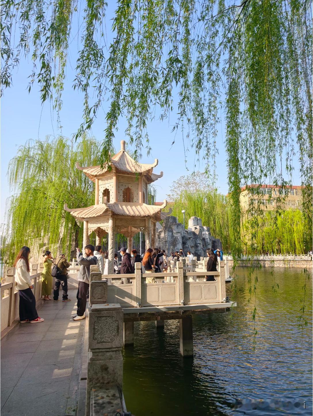 石家庄藏着塞外小江南！桥西区裕园公园，免费打卡江南诗意🌿
 
不用远赴苏杭，在