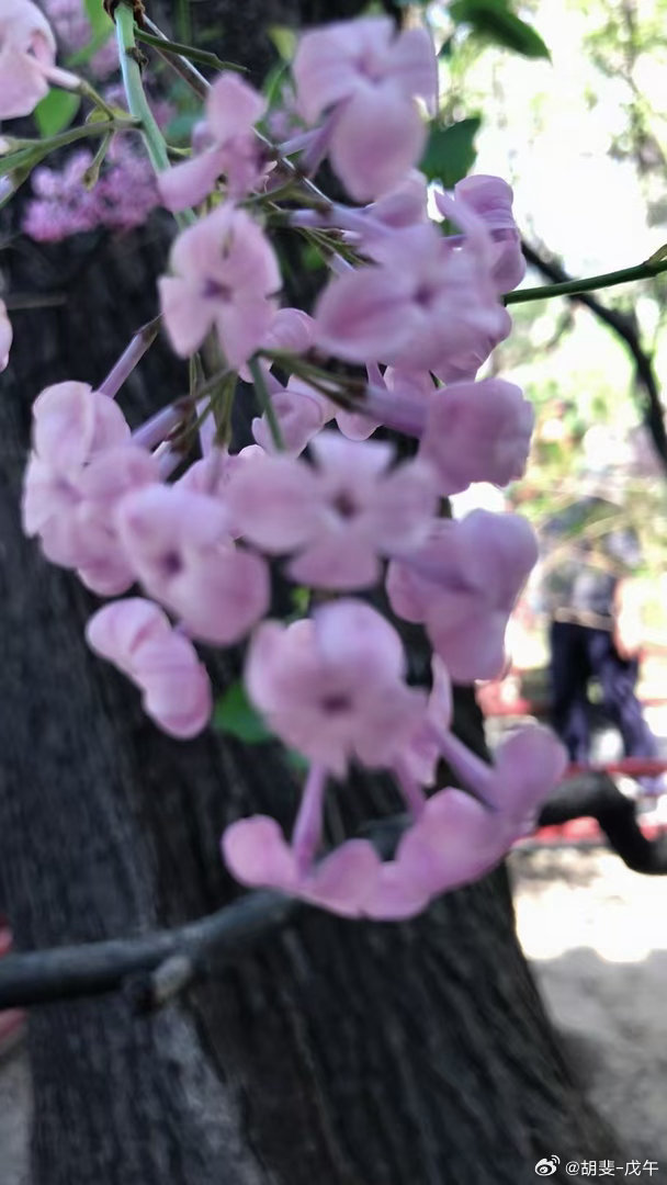 我想买进一个票，但我不知道这个票现在到底了没有 