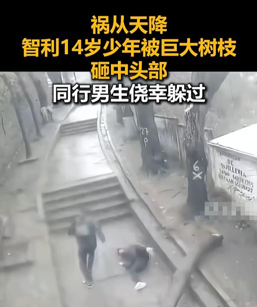 2026年7月16日，智利街头，一名14岁少年正和同伴走路，头顶一根大树枝却抢着
