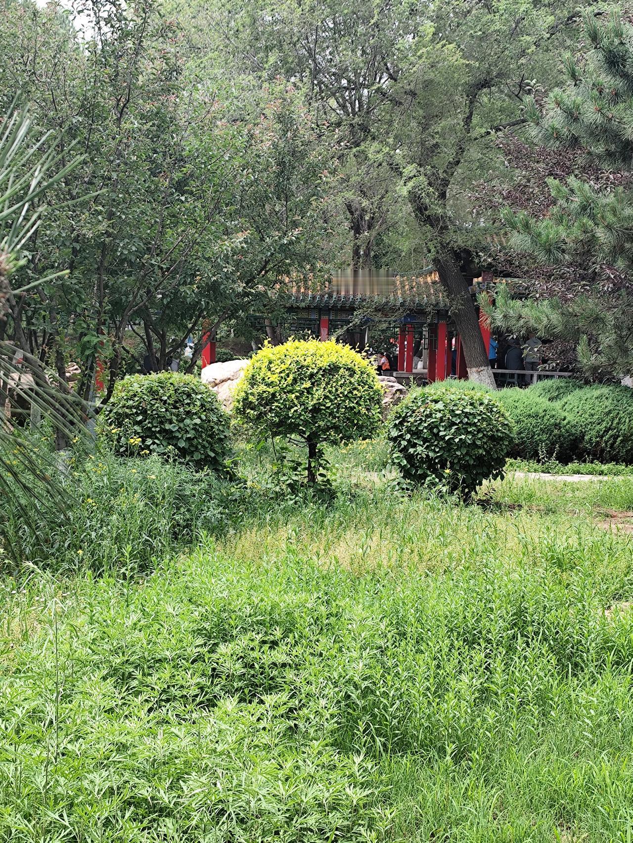 《夏芳园》景色一观
    沈北环城水系慢道″夏芳园″，位于万泉公园西侧，以树木