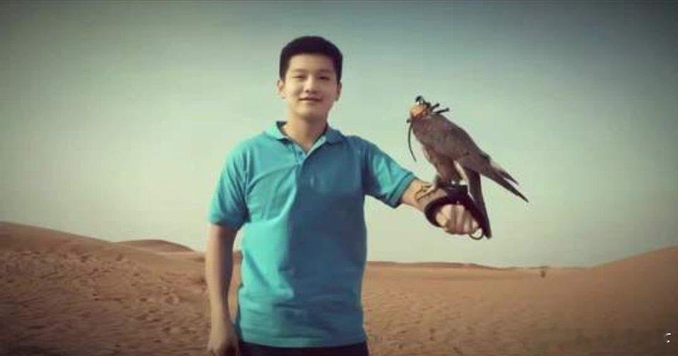 可控雄鹰的男人 ​​​