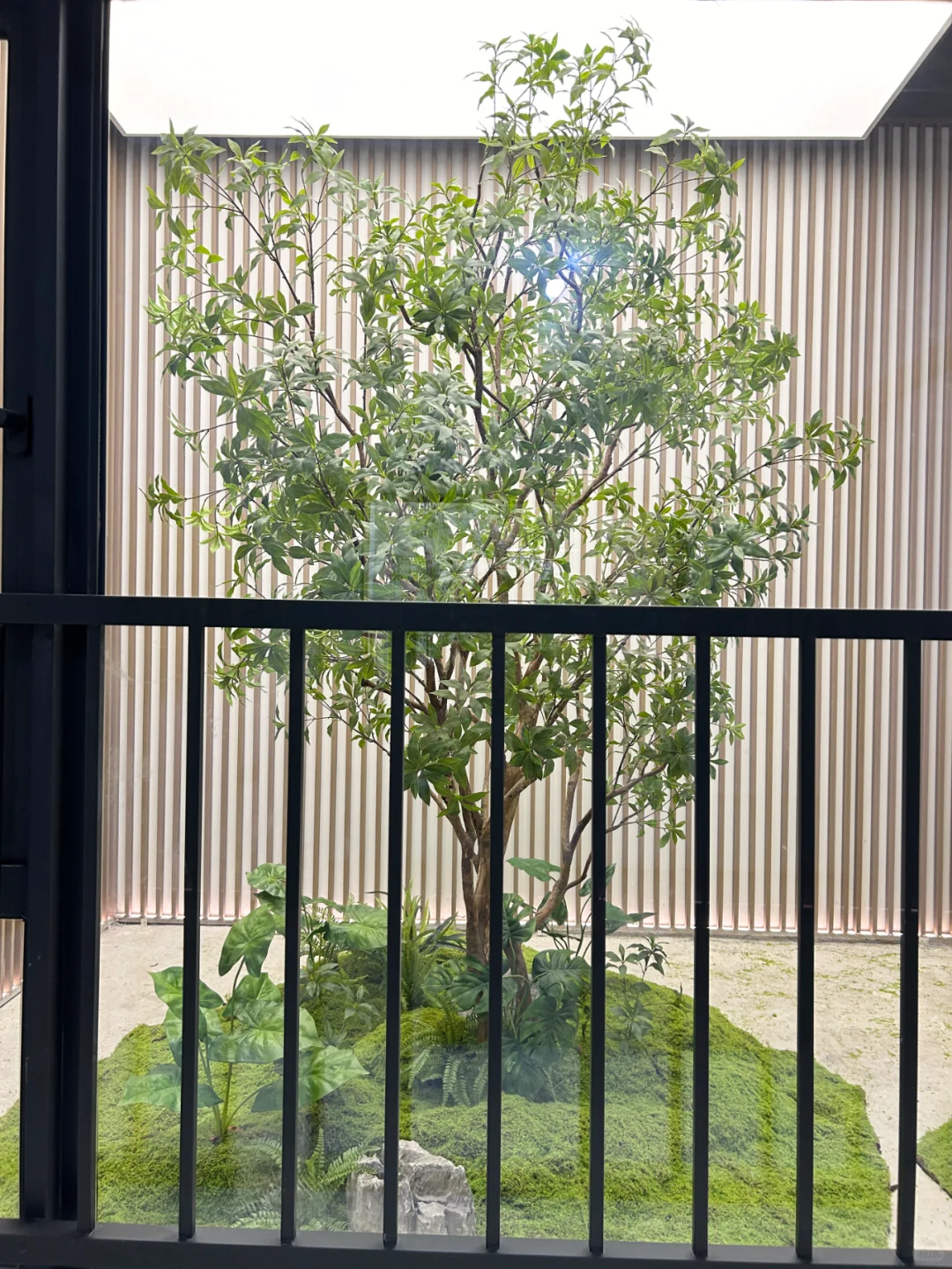 采光井仿真树景观，马醉树，楼盘绿植景观