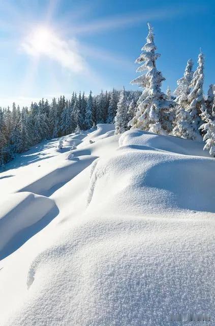 雪域高原，银装素裹。宁静做自己，淡泊过生活
