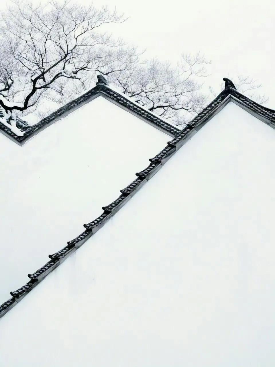 “ 雪月相宜，梅雪清绝 ...”
