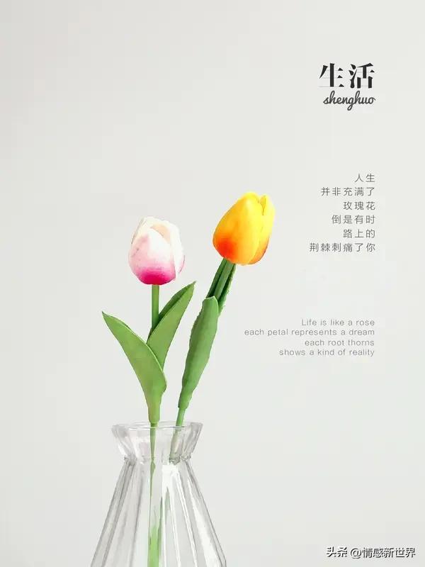 人生最美的东西，千人千面。对我而言，人生最美的是初心。初心是出发时怀揣的那团炽热