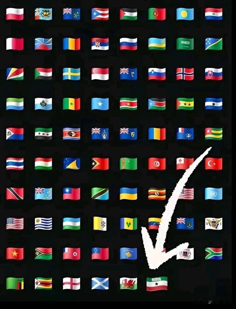 埃隆·马斯克已正式在 X 平台（原 Twitter）上添加了索马里兰国旗表情符号