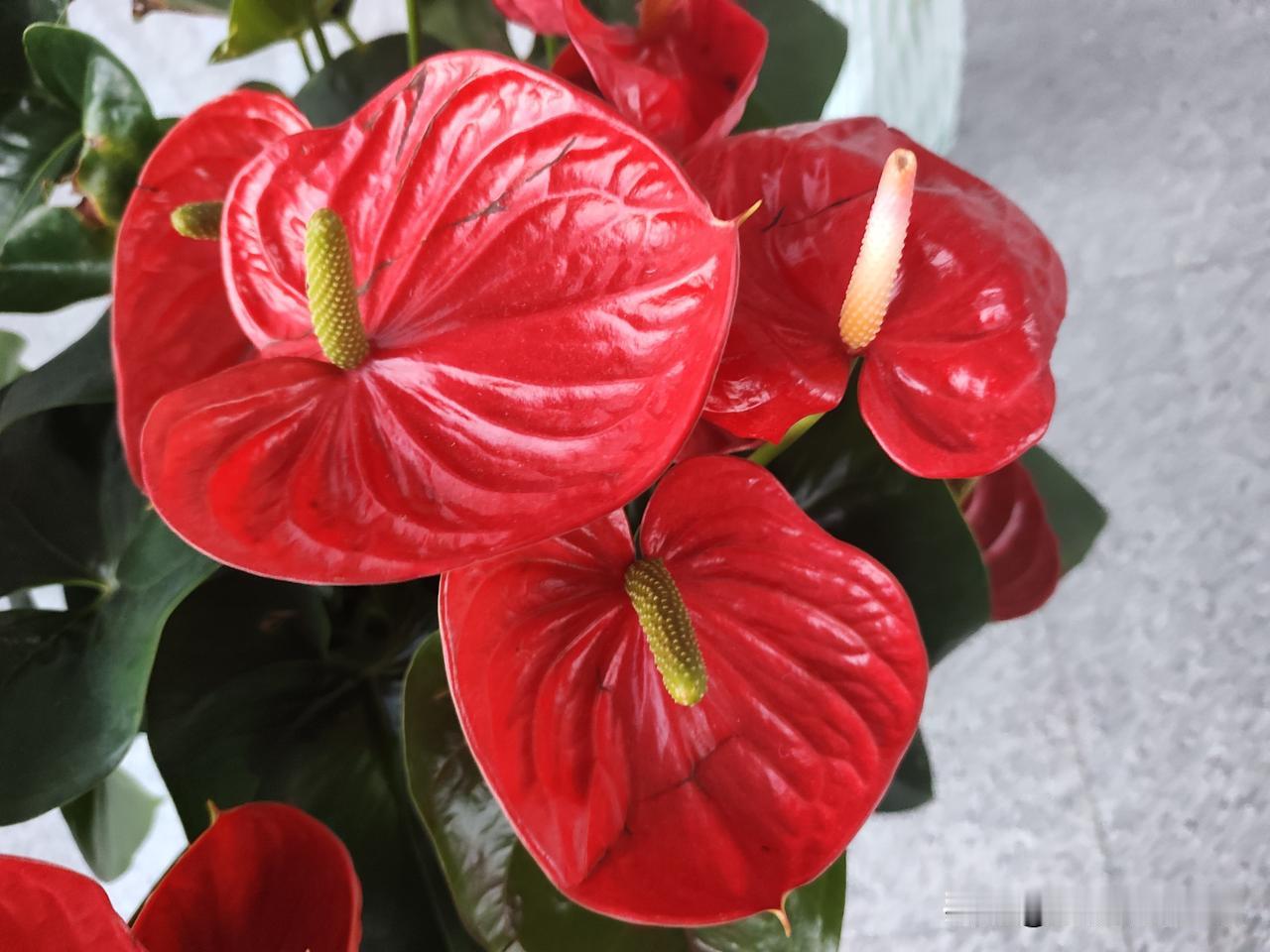哈哈，十月一是几号啊？
这个问题是我今天问的[捂脸][呲牙]

今天在治疗室外坐