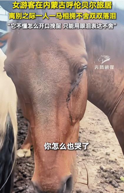 “太有灵性了！”内蒙古呼伦贝尔，女子哭着和一匹马告别。没想到，马也流泪了。她问马
