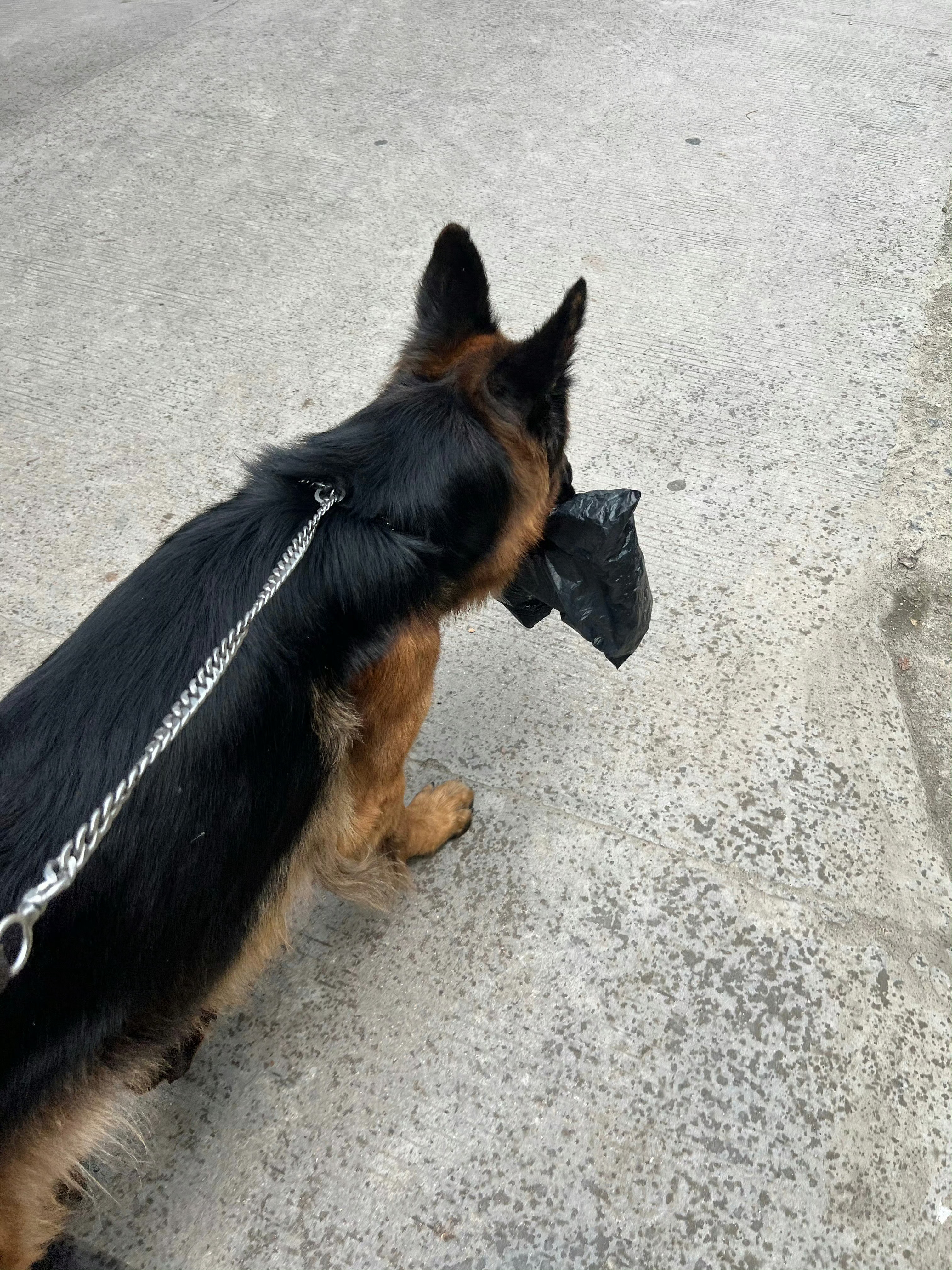 一出门就下雨了赶快回家收衣服 