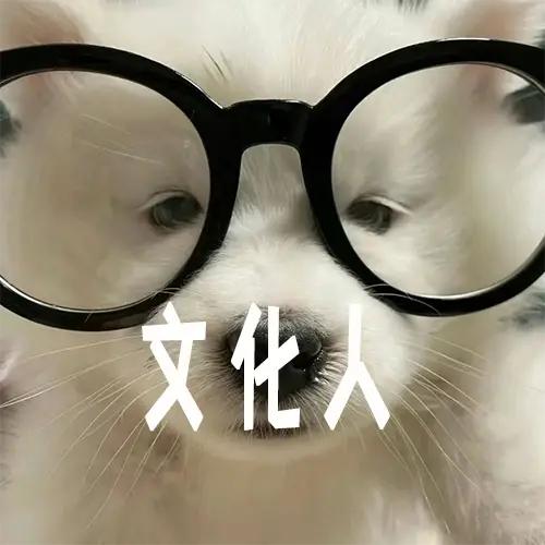 友友是个有知识的文化人[赞]