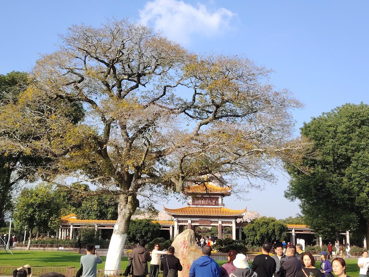 想拍张照片证明去过的地方，这事儿太有意义啦。就像我去那长沙古色古香的街道，河道里