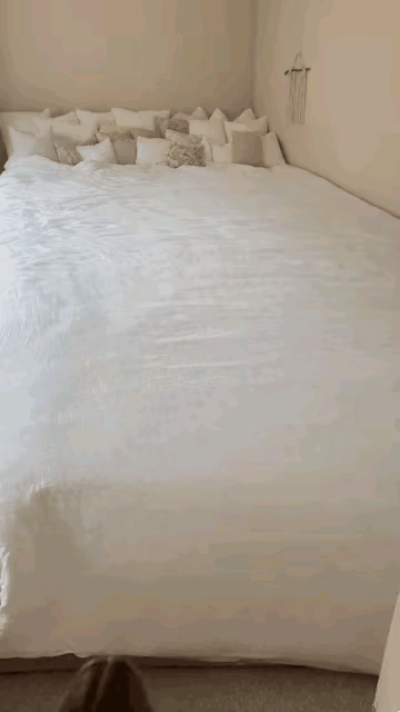 韦小宝在丽春院的那张大床也不过如此吧？