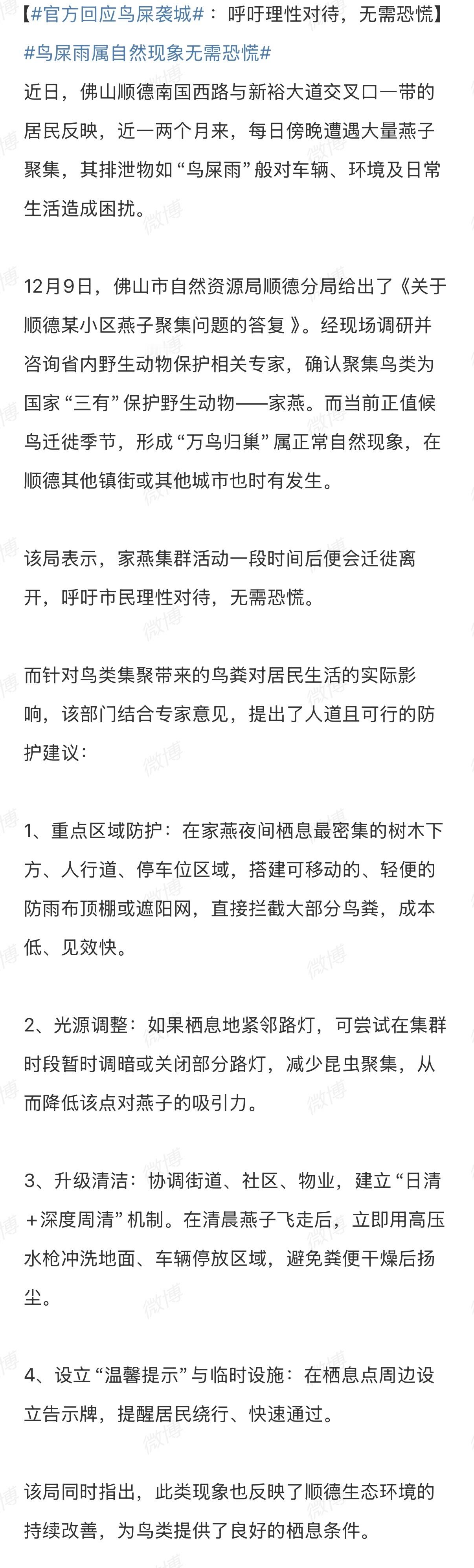 佛山 鸟屎袭城 佛山不会下雪 但是会有“天使”这谁受得了 