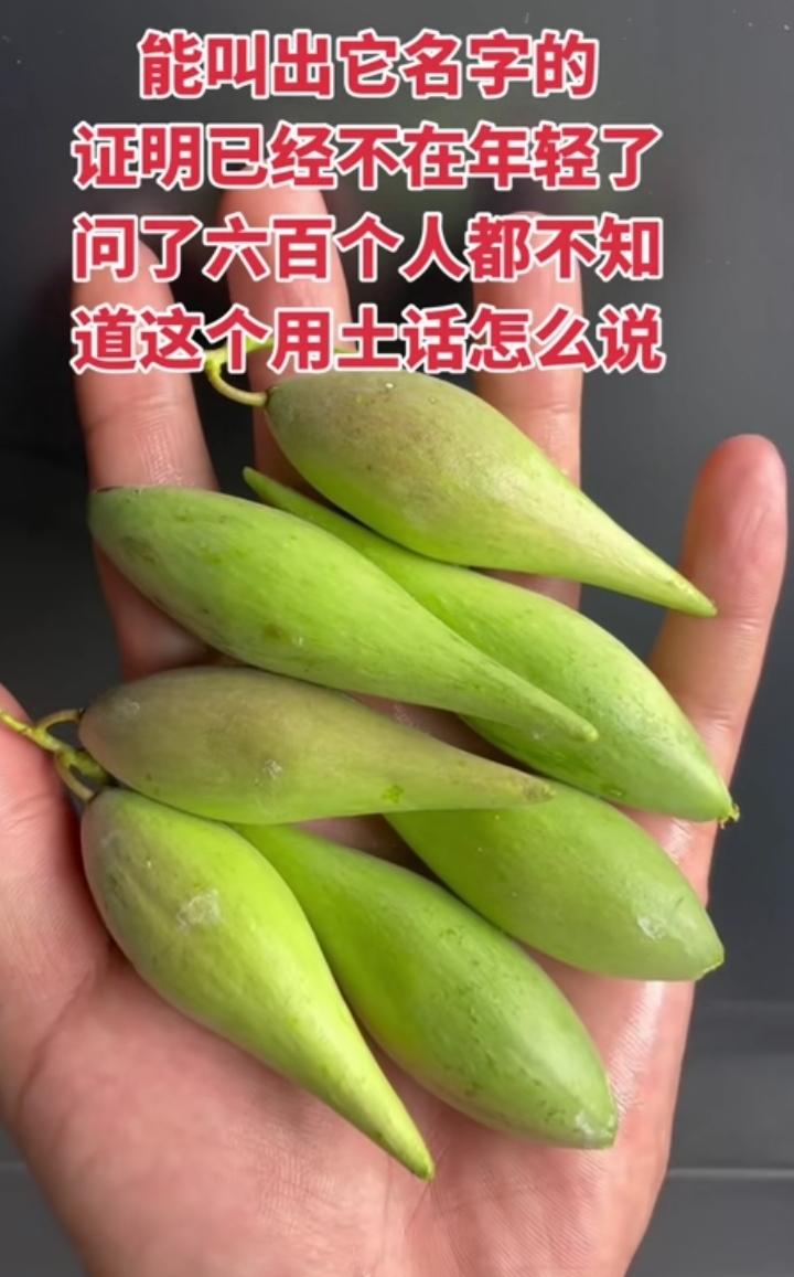 小时候经常摘着吃，
甜甜的，
脆脆的，
还有一股新香，
如今，来到了城里，
二十