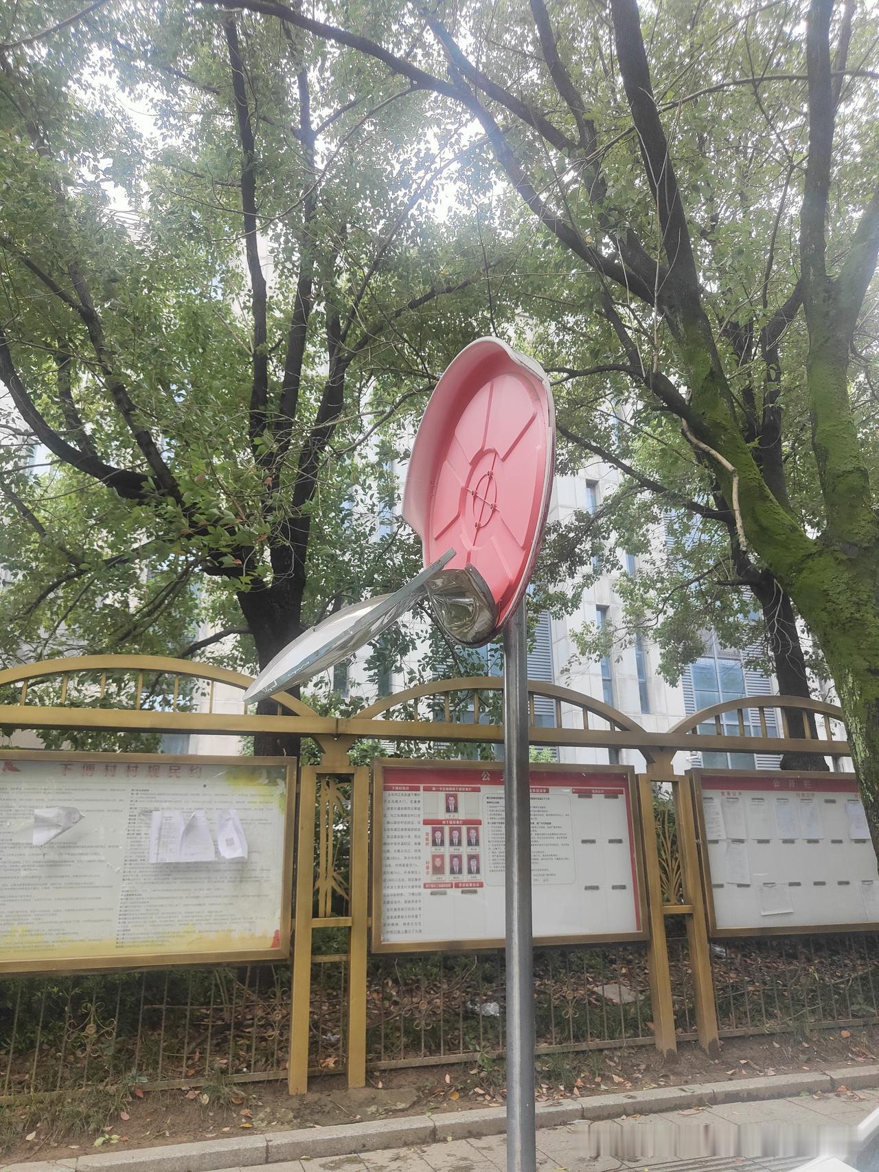 义乌的十多级的台风真的好大
树枝都吹断了
反光镜都吹开了
树叶都吹落了
水都淹到