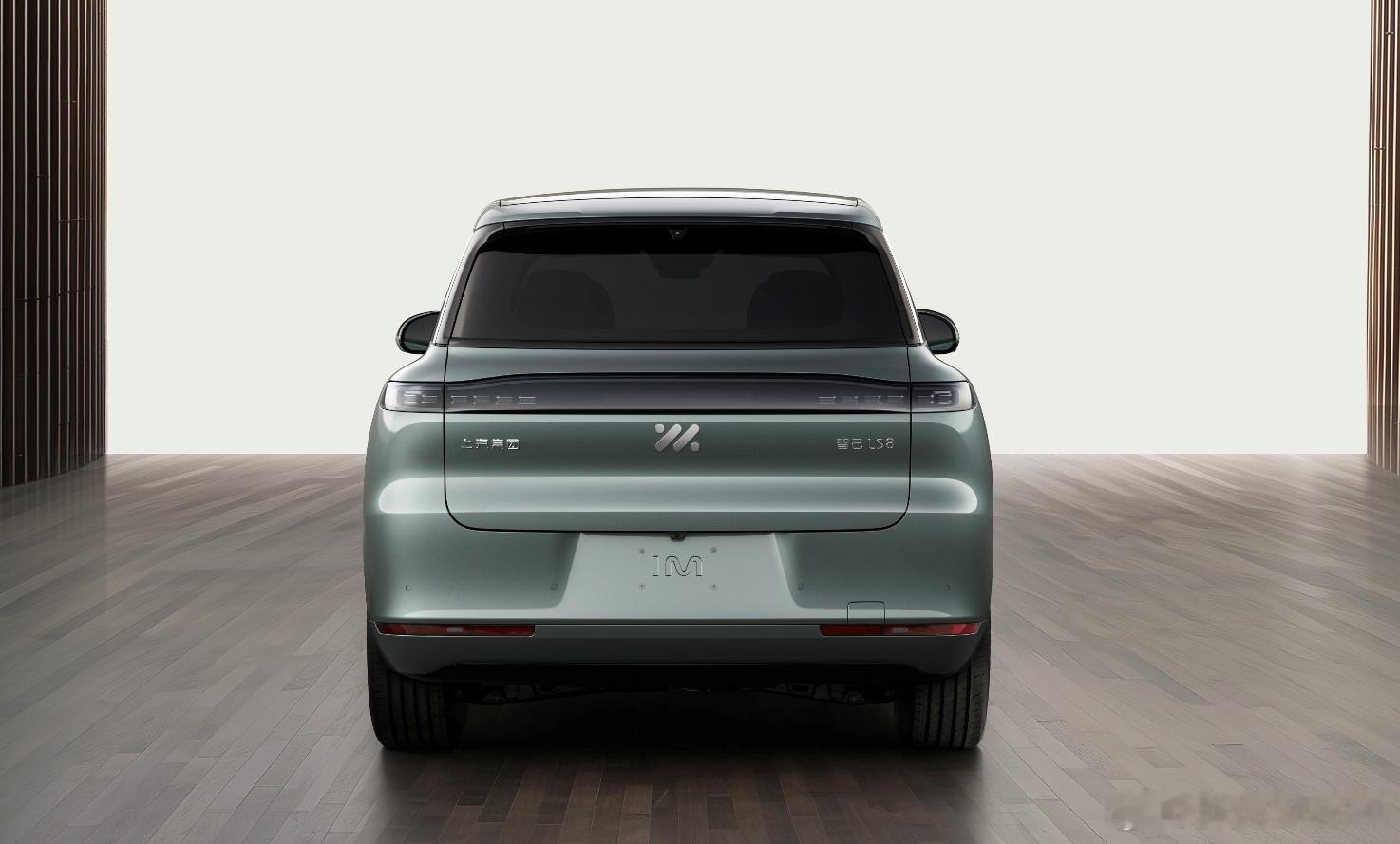 一大早起来继续看工信部车展智己LS8也发公告了，LS9刚上市个把月，小弟就来了，