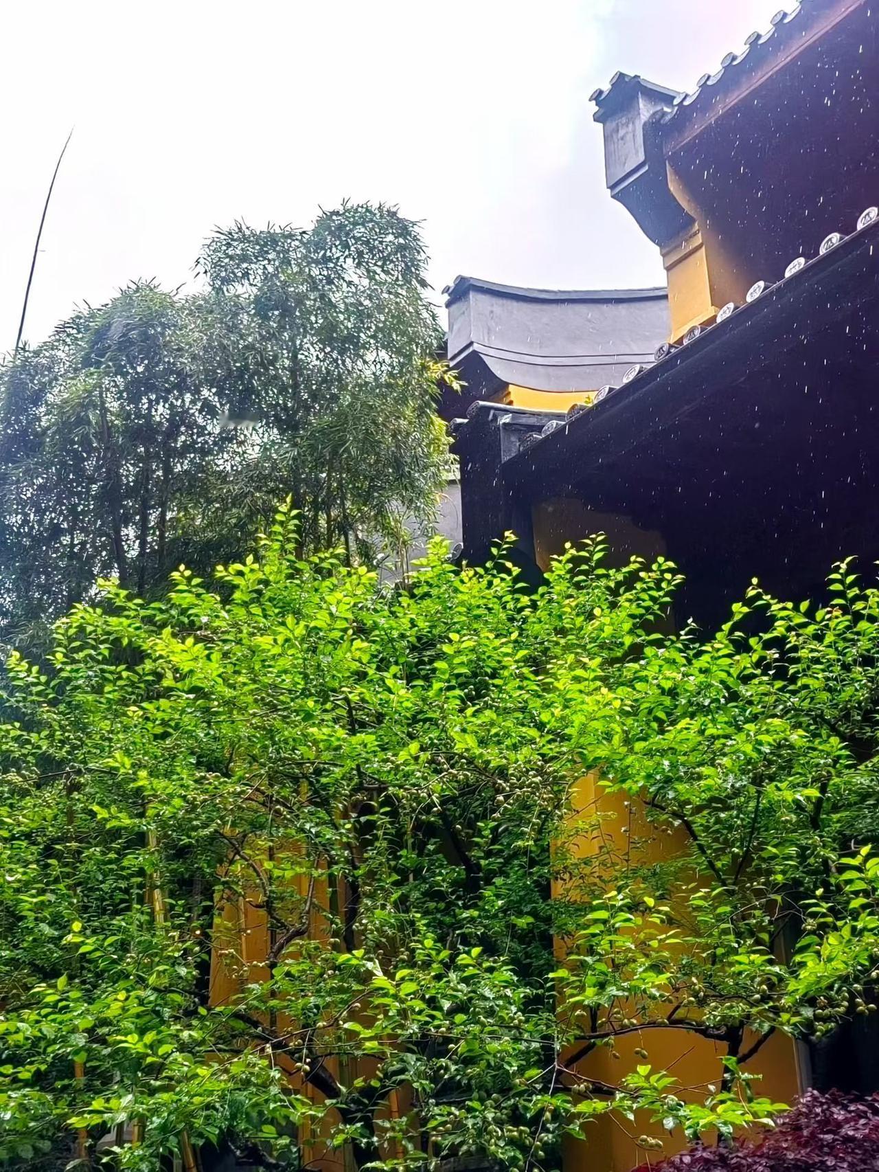 五一假期快到了，今年的五一小长假有5天，非常难得，正值春日，天气不冷不热，很适合