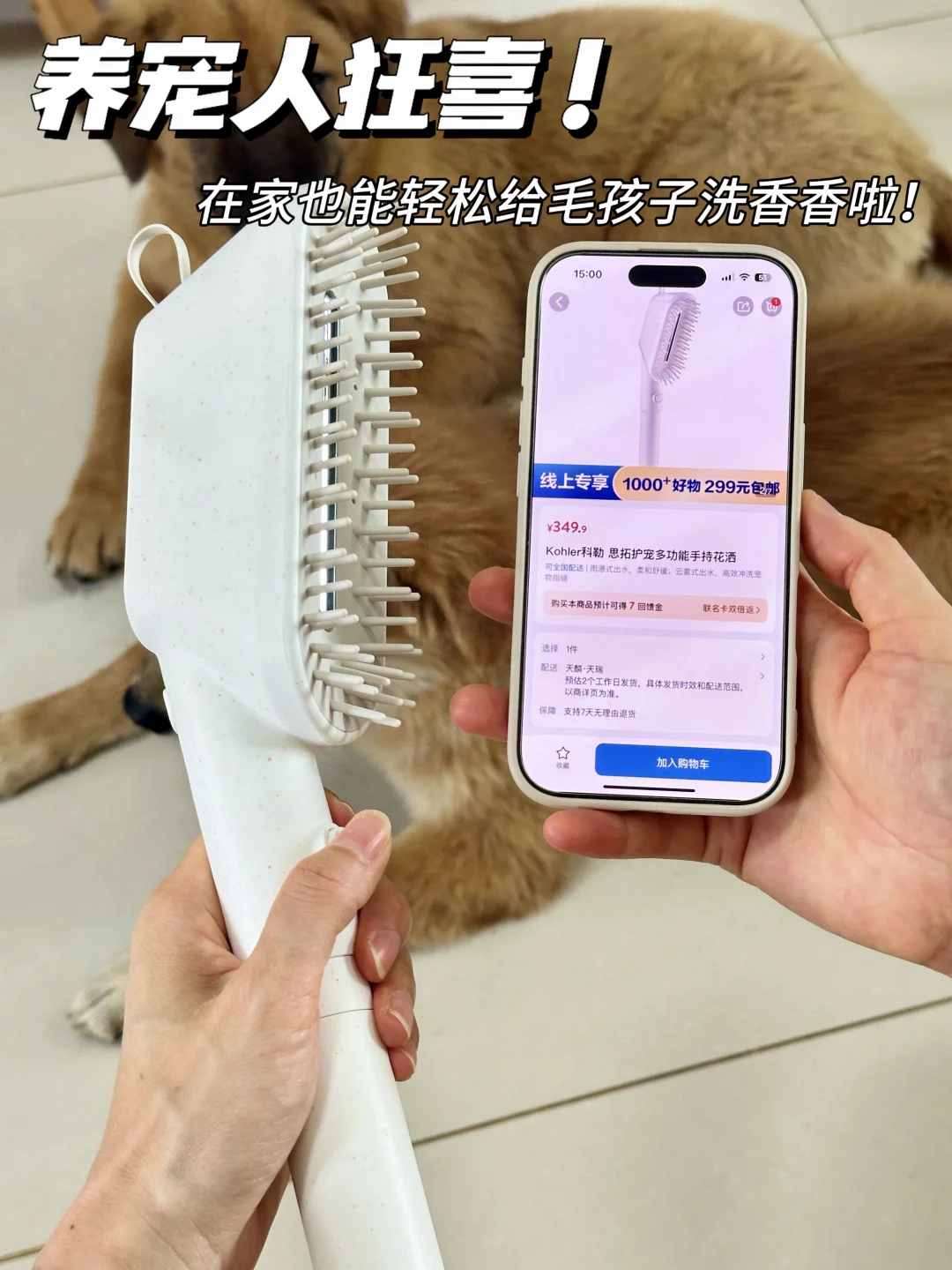 山姆挖到宝😍养宠人用过这个真的会谢‼️