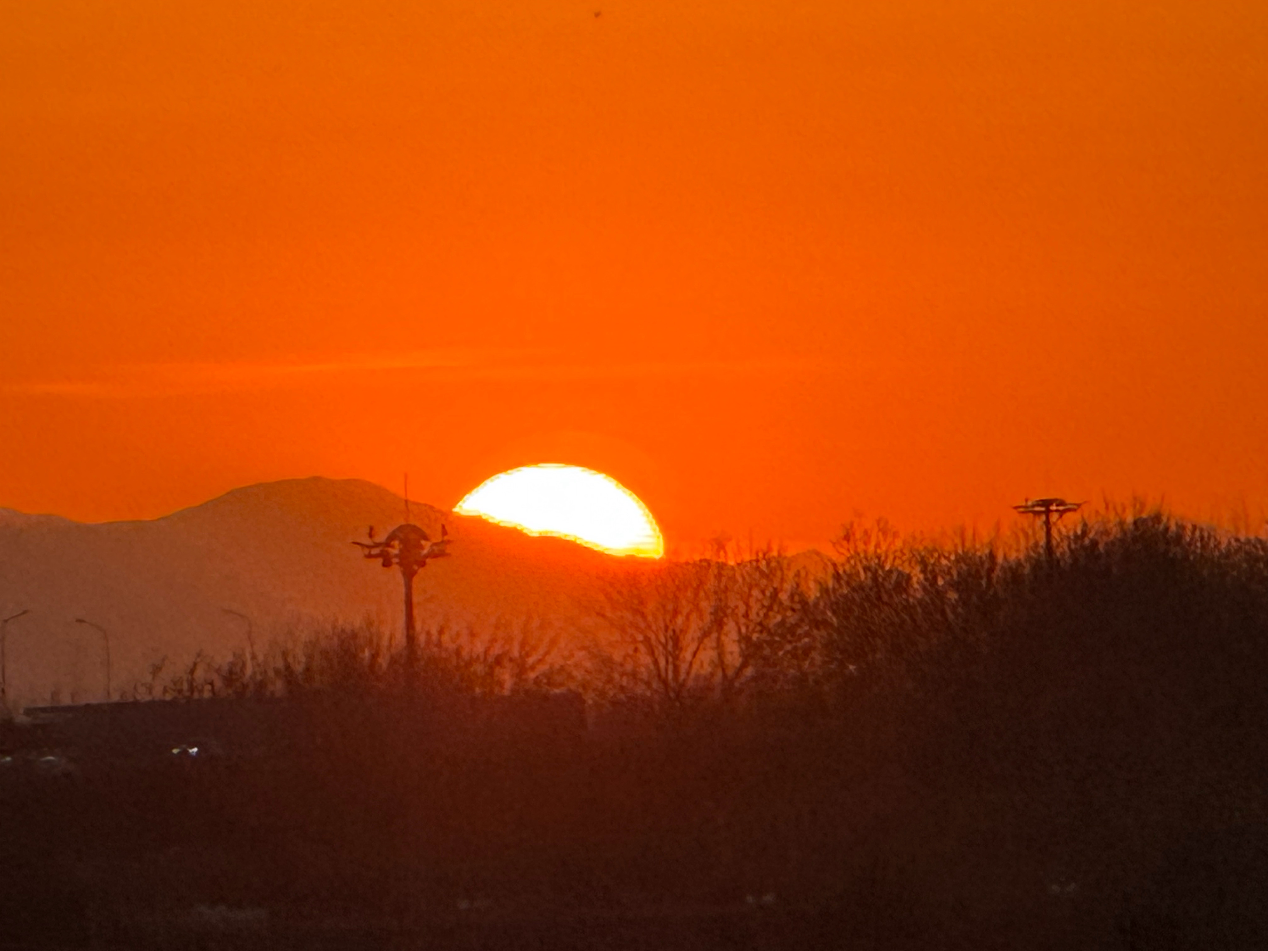 🌅昕鲜出炉 ​​​