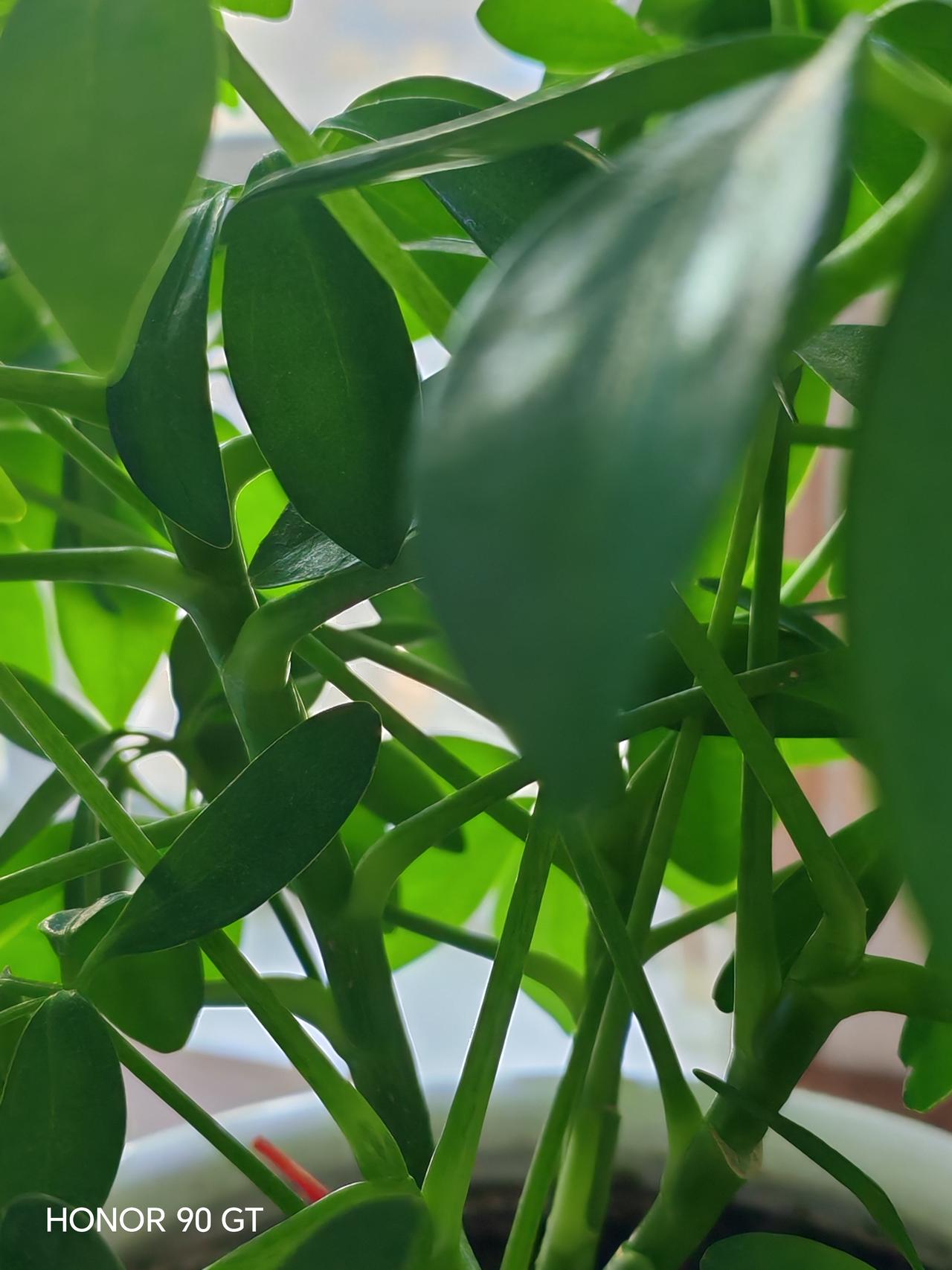 春天花会开，
快乐每一天。