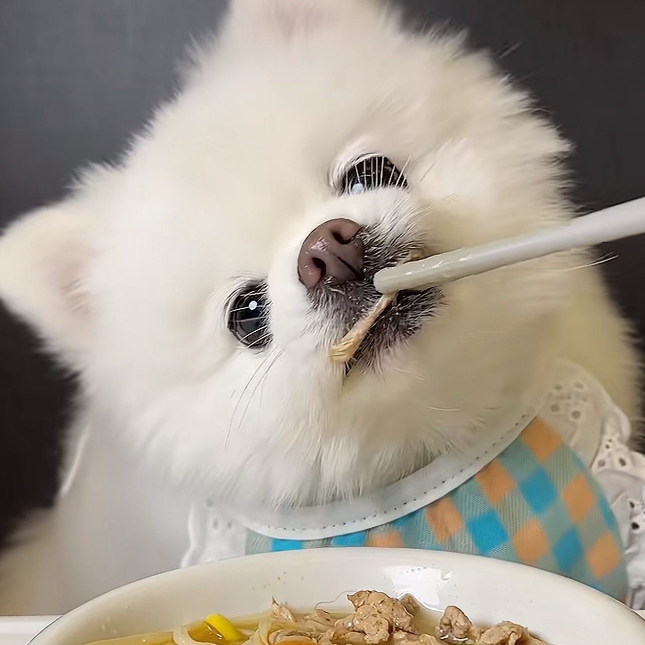 有点眼熟 