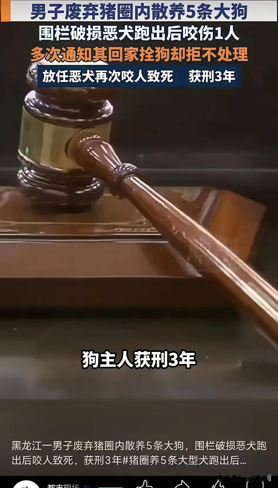 令人痛心！黑龙江尚志这起养犬悲剧，值得所有人反思。
 黑龙江尚志，男子马某饲养多