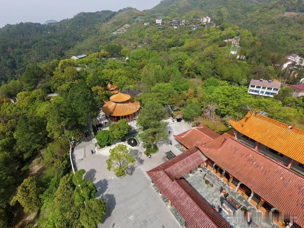 真心话茶局高处看