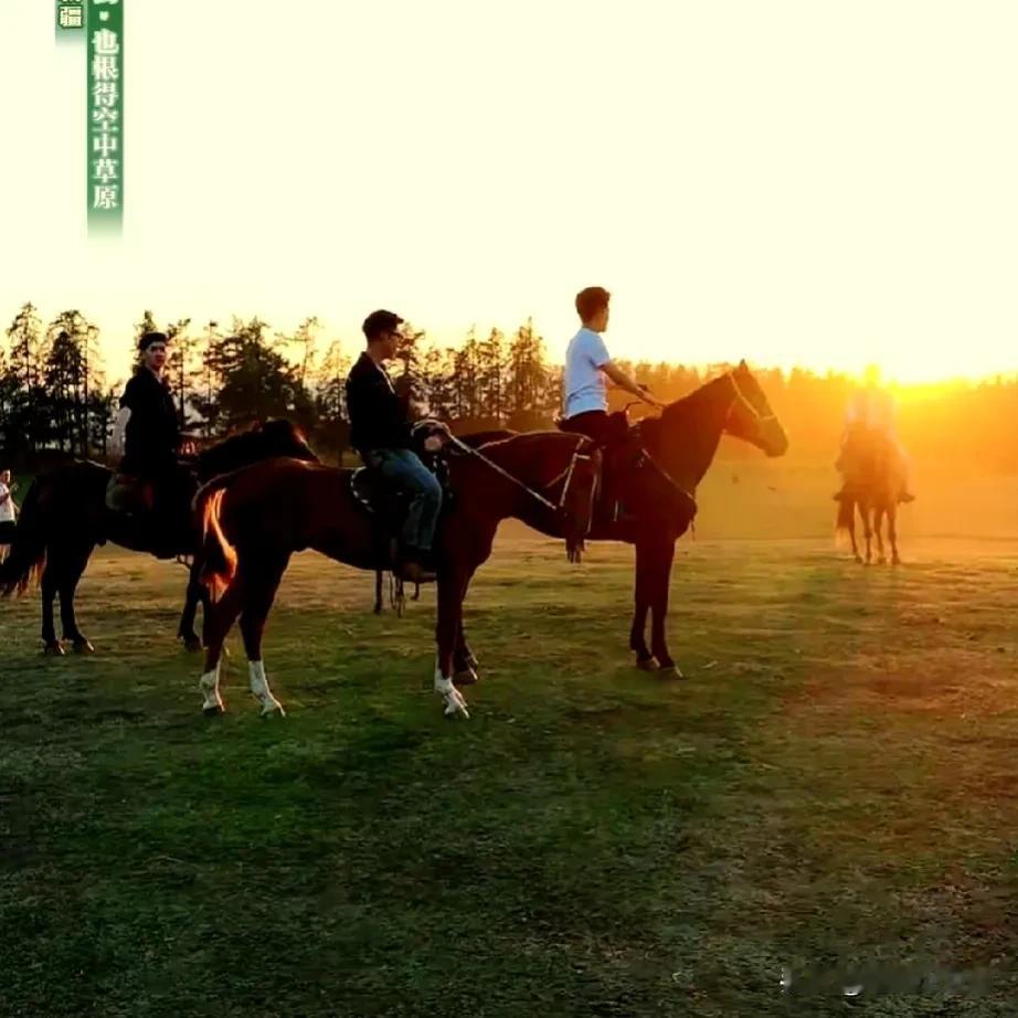 今天导演的创意真的满分，

夕阳下宇辉和汉森骑马的画面，

美得一塌糊涂，

人