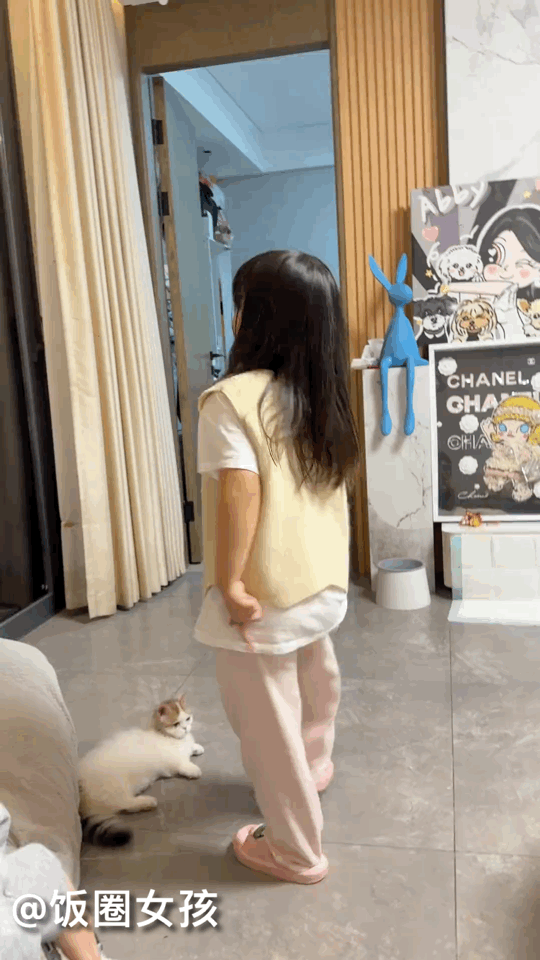 #韩安冉女儿被确诊多动症##韩安冉封肚#这十分钟 玩了猫 玩了花 跟邹姐玩 和外
