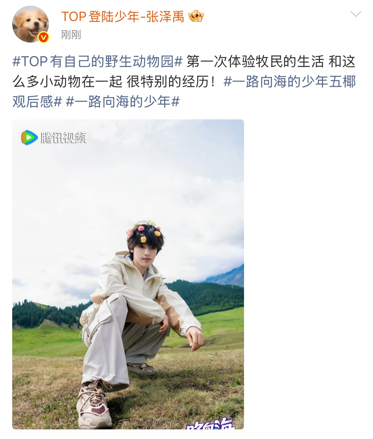 张泽禹是草原在逃精灵吧张泽禹草原限定花环look这个花环造型我真的会谢，草原风一