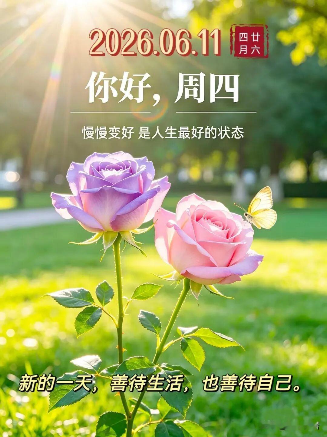这段时间，沈阳天气就是这样的变化无常，出门带伞，带件外套吧，别怕麻烦😊😊😊