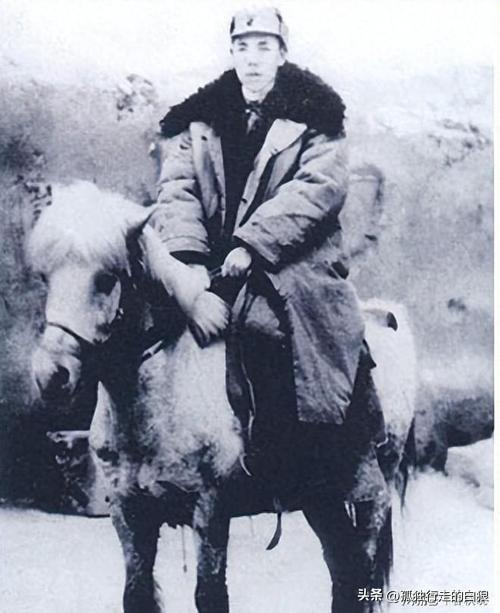 1948年西府陇东战役，彭德怀差点儿死于马家军马刀之下，原来是四纵司令王世泰卖队