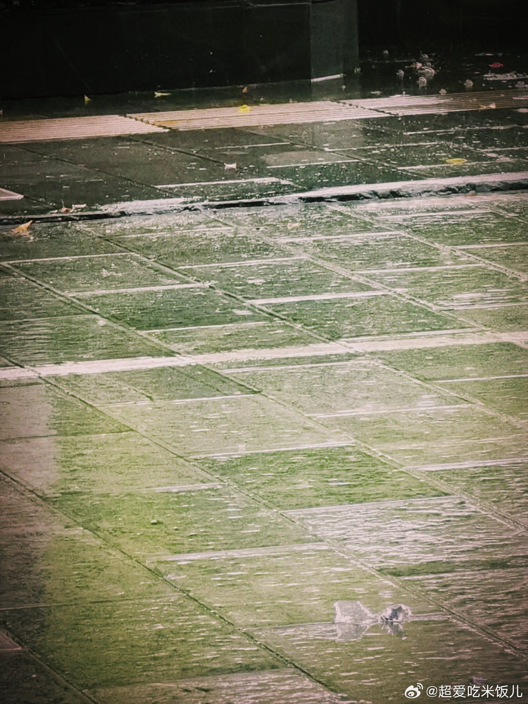 又是一天的雨🌧️ 
