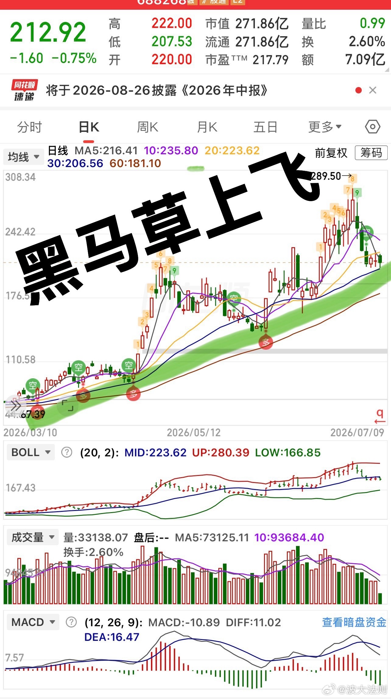 技术分享，黑马草上飞…… 