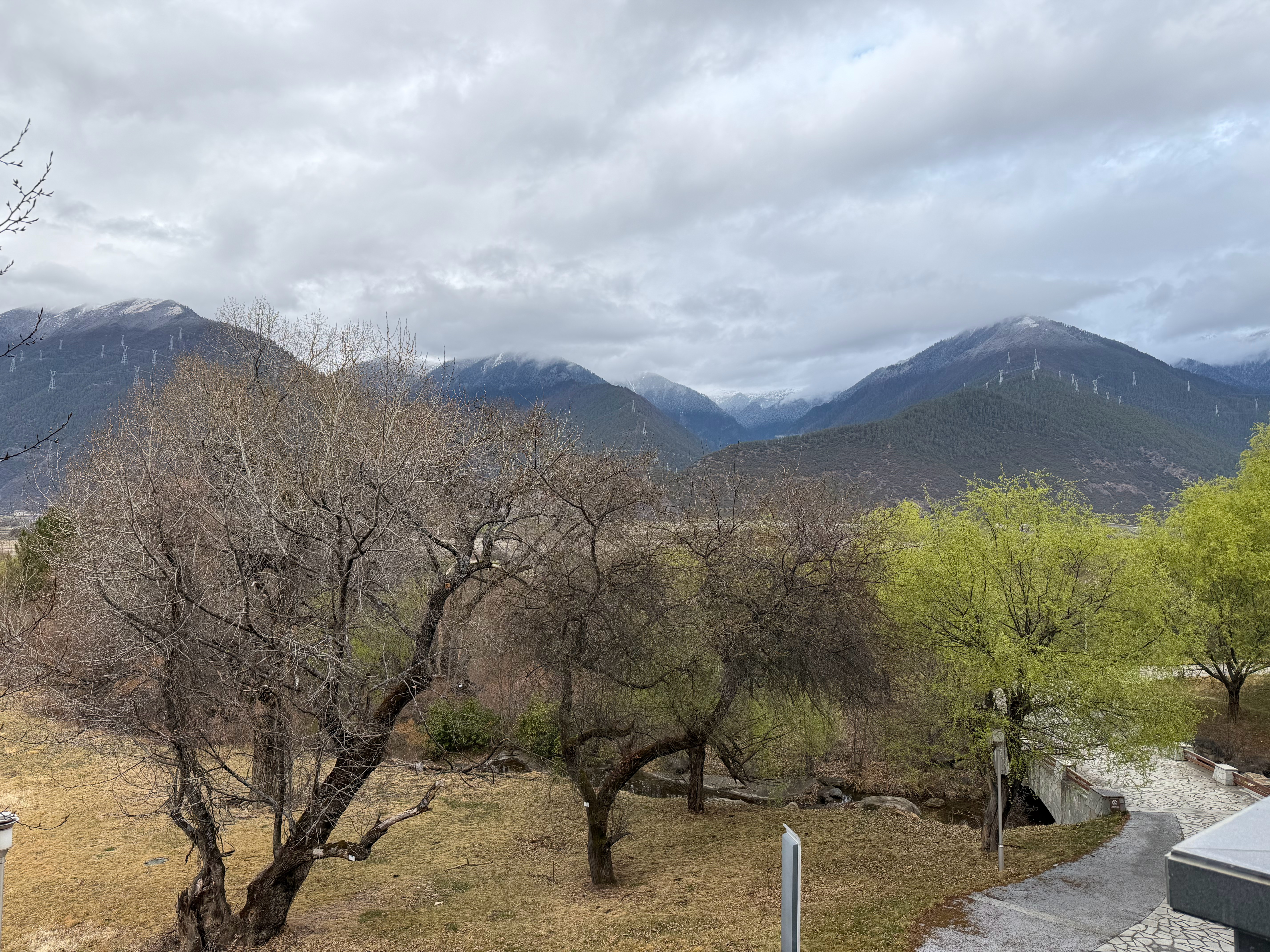 早上好啊，开窗见雪山 林芝