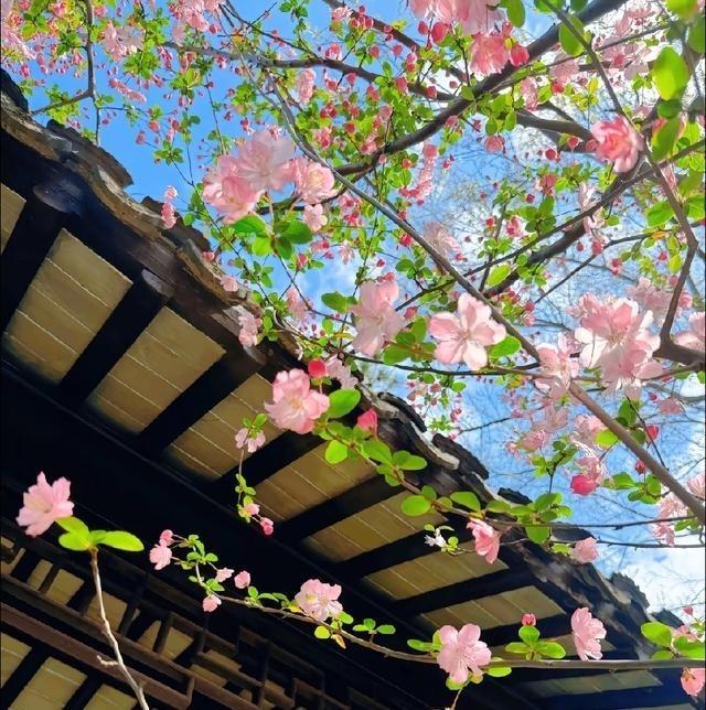 上班千万别走心，谁信谁吃亏。老板画的饼全是假的，别为了那句“年底涨薪”傻乎乎地9