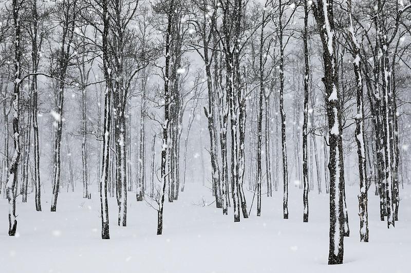 暴雪来袭，江苏校园“停课风云”何去何从？
近日，江苏徐州因恶劣天气再次停课。江苏