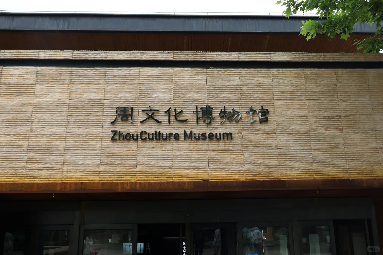 离大谱了，这家博物馆我1张照片都不想拍