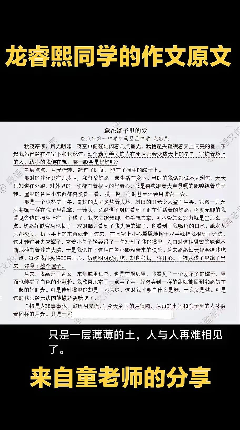 这篇文章讲述了一位湖南娄底的初三学生龙睿熙，通过一篇感人至深的作文打动了众多网友