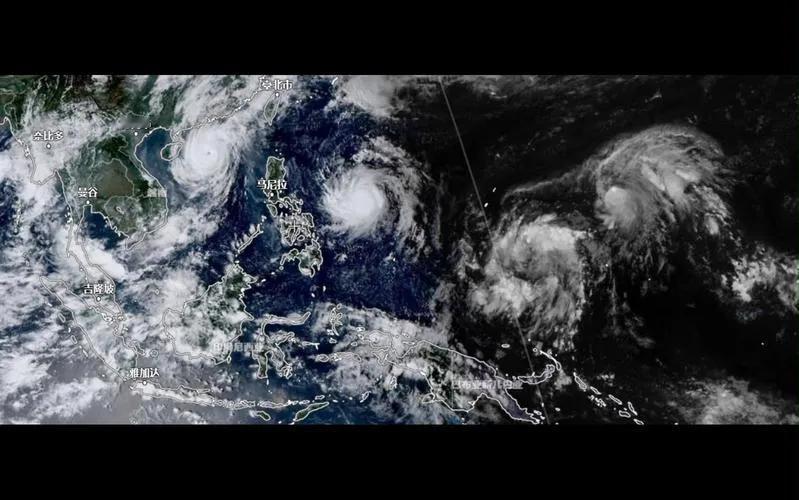 7月23 - 24日，西北太平洋热闹非凡，7号台风“范斯高”、8号台风“竹节草”
