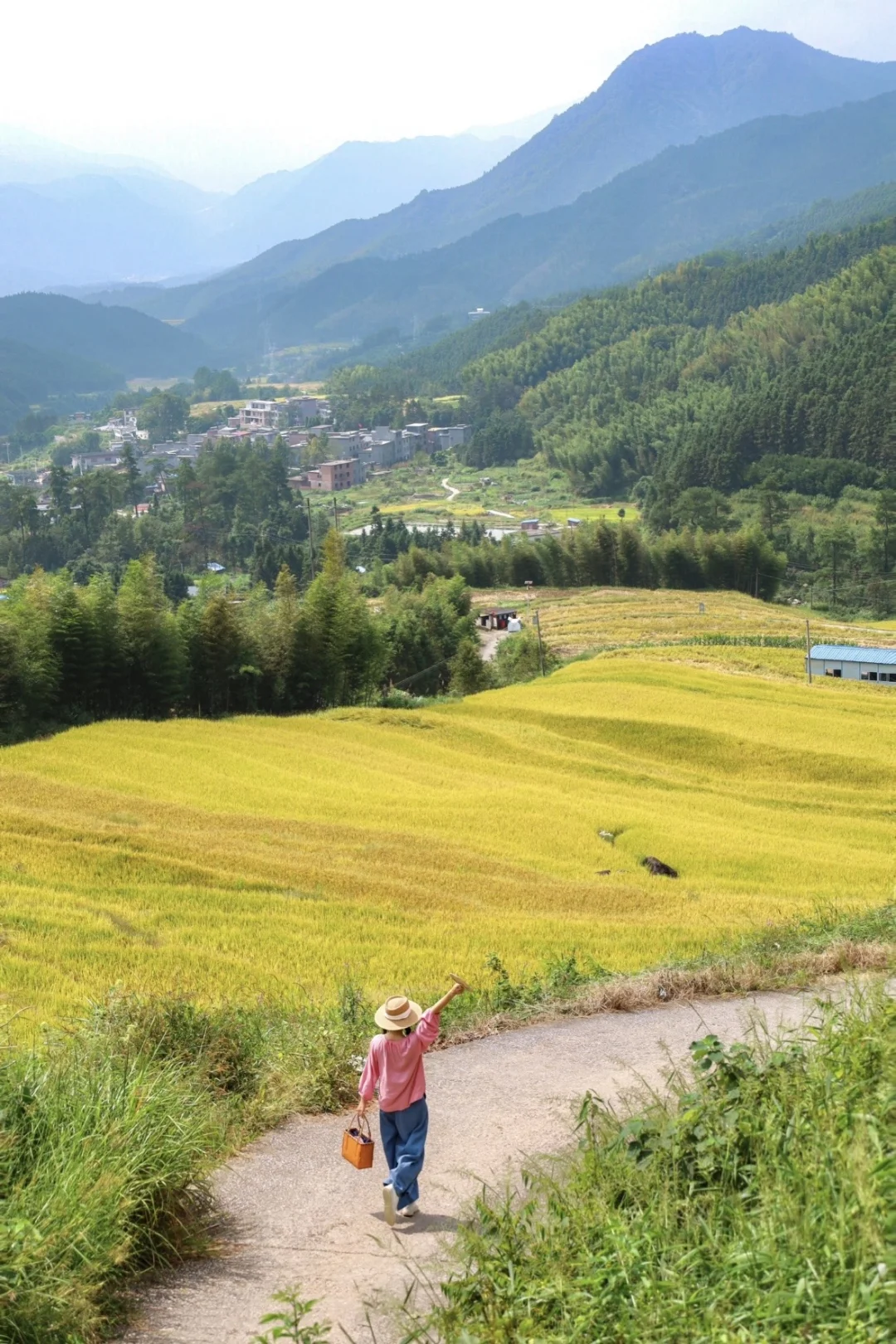 国庆赏秋🍁清远2日游🌾金黄稻田+千年瑶寨🏡